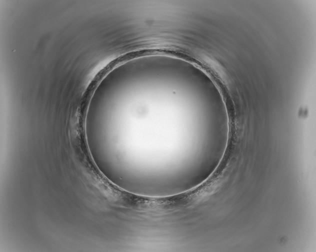 X0000092060875200709121352