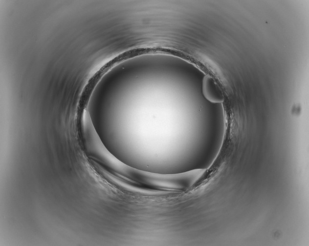 X0000092060876200709121352
