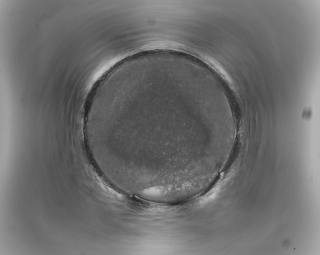 X0000092060877200709121352