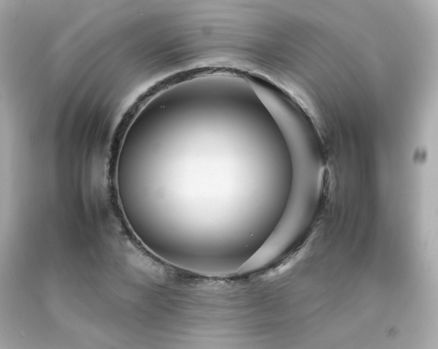 X0000092060880200709121352