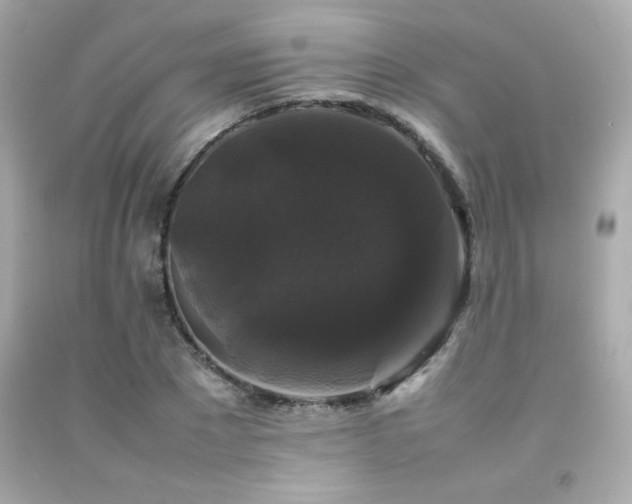 X0000092060881200709121352