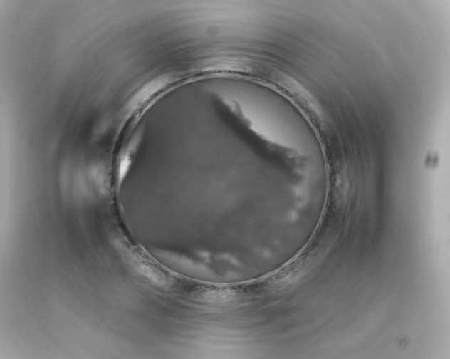 X0000092060882200709121352