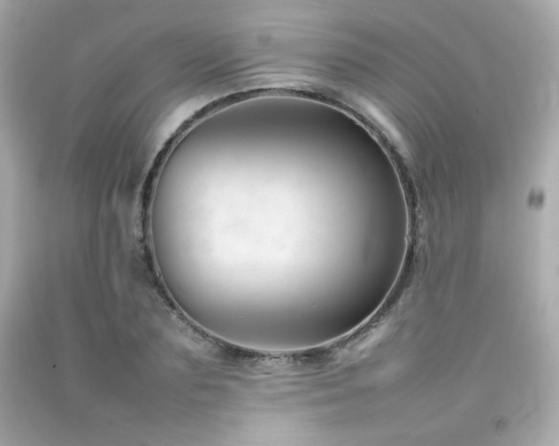 X0000092060883200709121352