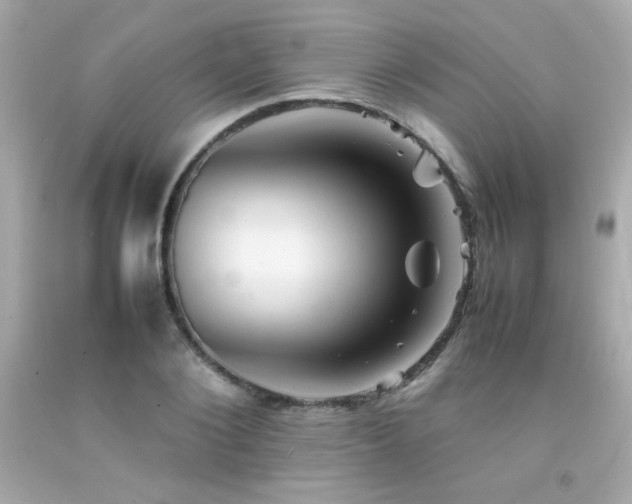 X0000092060884200709121352