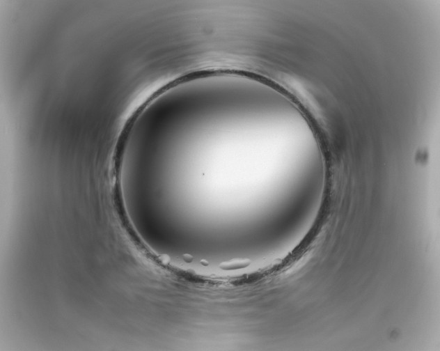 X0000092060885200709121352