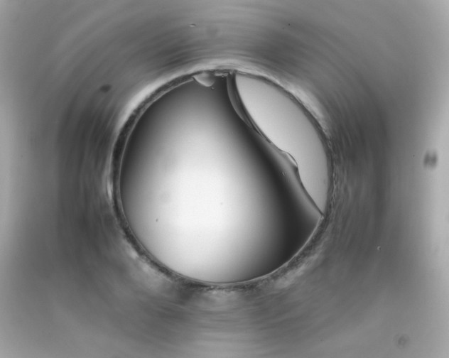 X0000092060888200709121352