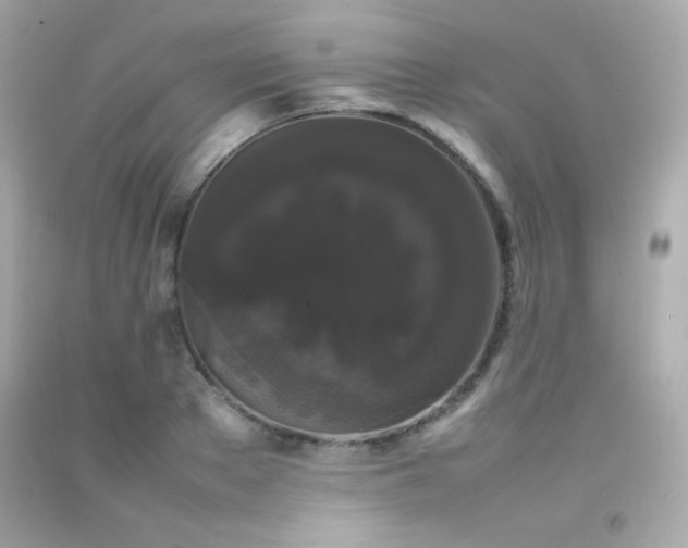 X0000092060889200709121352