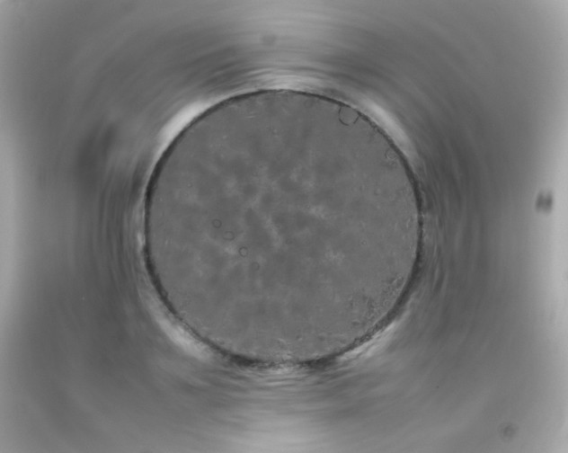 X0000092060891200709121352