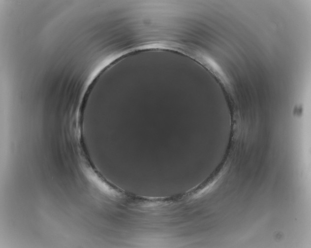 X0000092060892200709121352