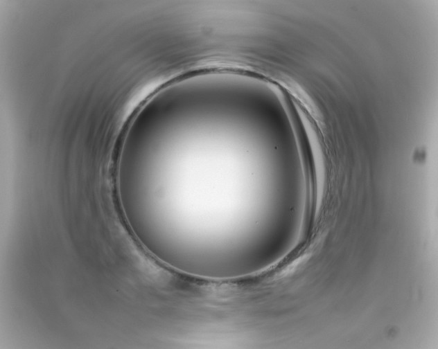 X0000092060893200709121352