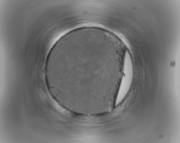 X0000092060895200709121352