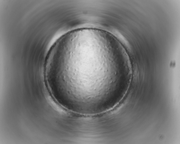X0000092060896200709121352