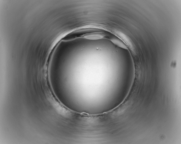 X0000092060900200709121352