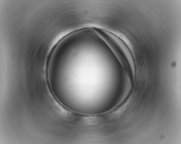 X0000092060902200709121352