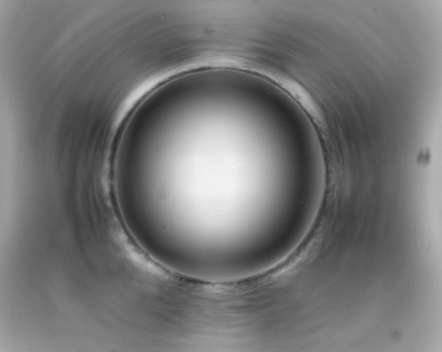 X0000092060904200709121352