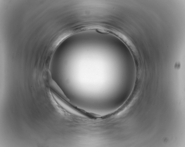 X0000092060905200709121352
