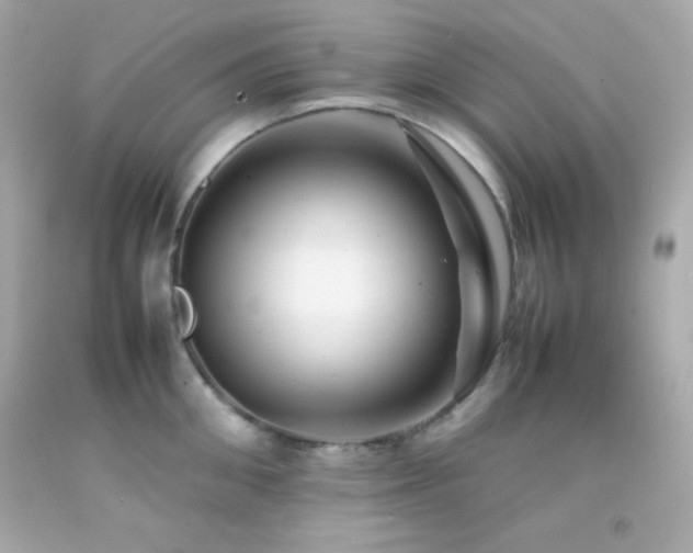 X0000092060906200709121352