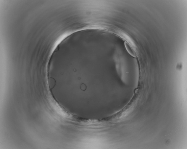 X0000092060907200709121352