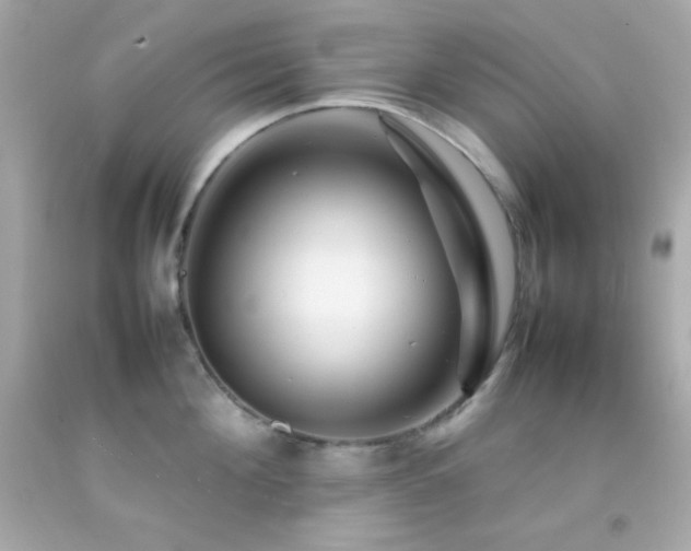 X0000092060908200709121352