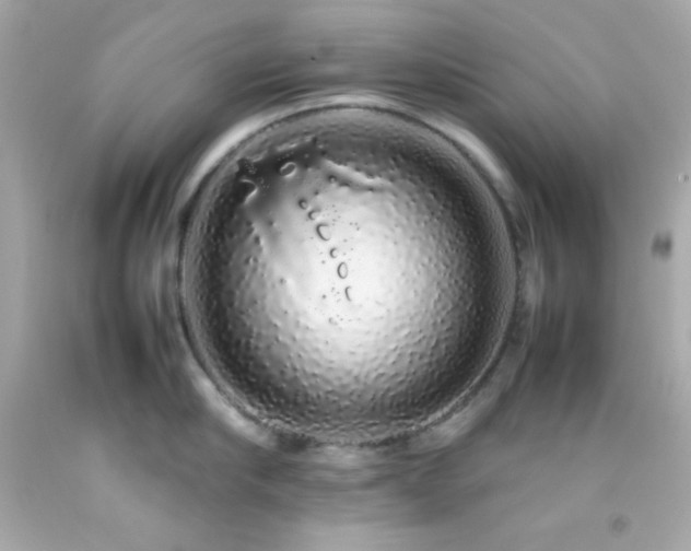 X0000092060910200709121352