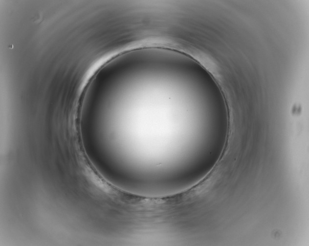 X0000092060912200709121352