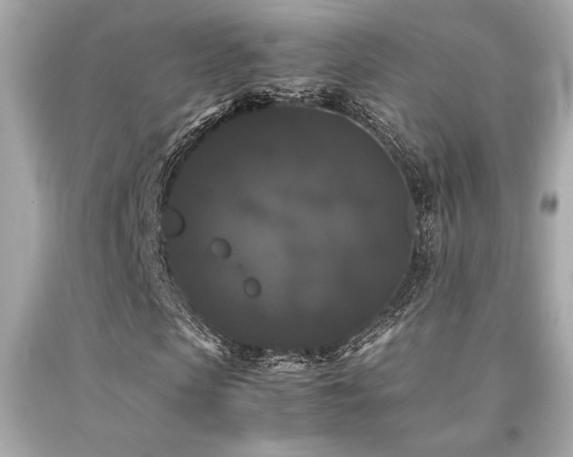 X0000092060913200709121351