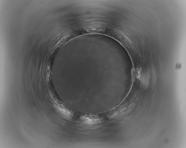 X0000092060915200709121351