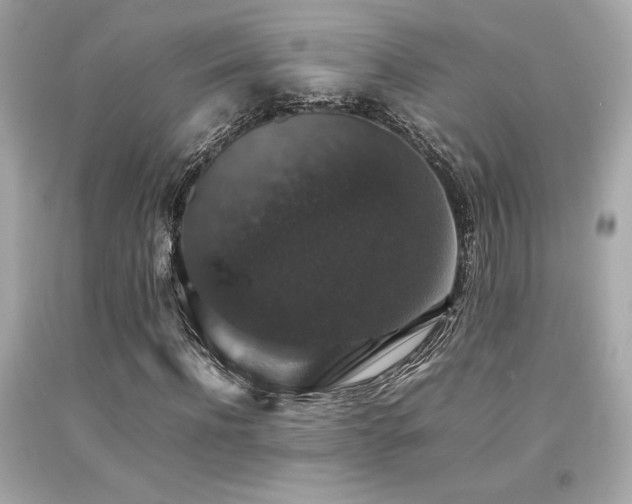 X0000092060916200709121351
