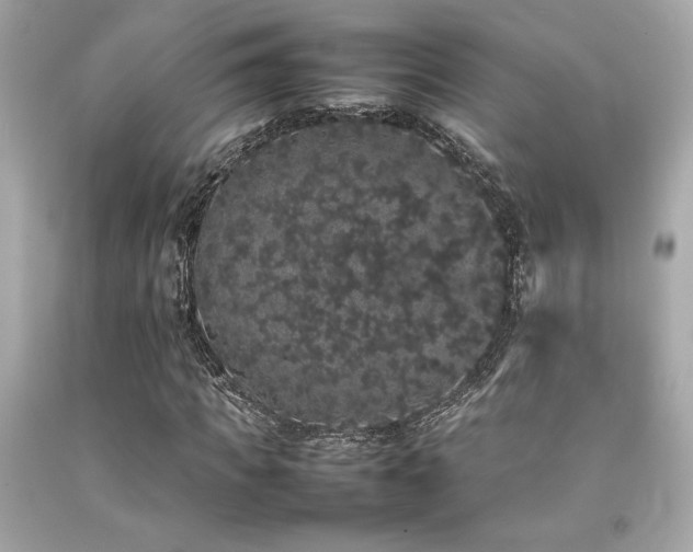 X0000092060917200709121351