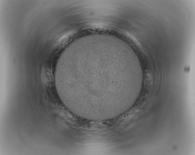 X0000092060918200709121351