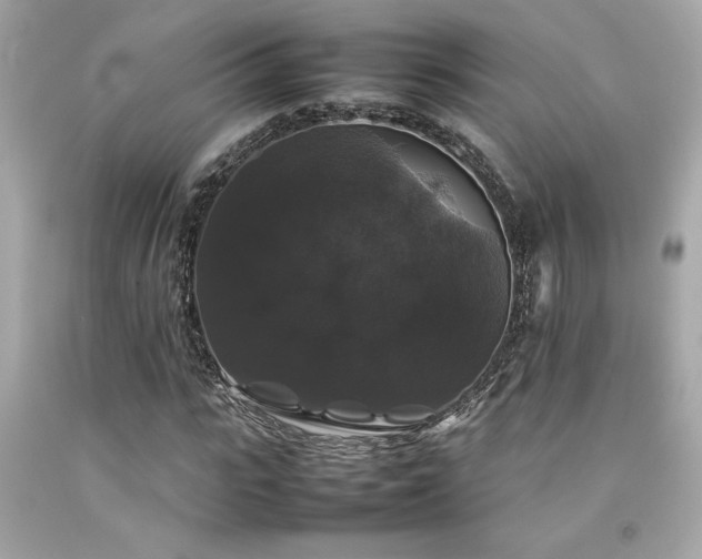 X0000092060919200709121351
