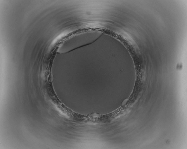 X0000092060920200709121351