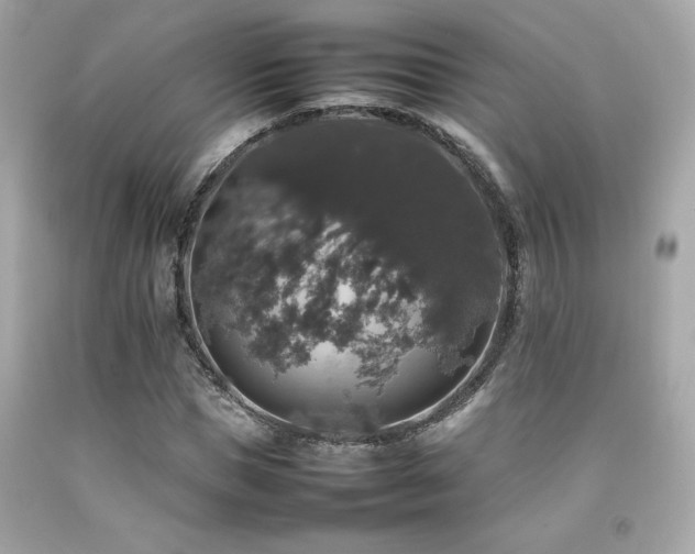 X0000092060921200709121351