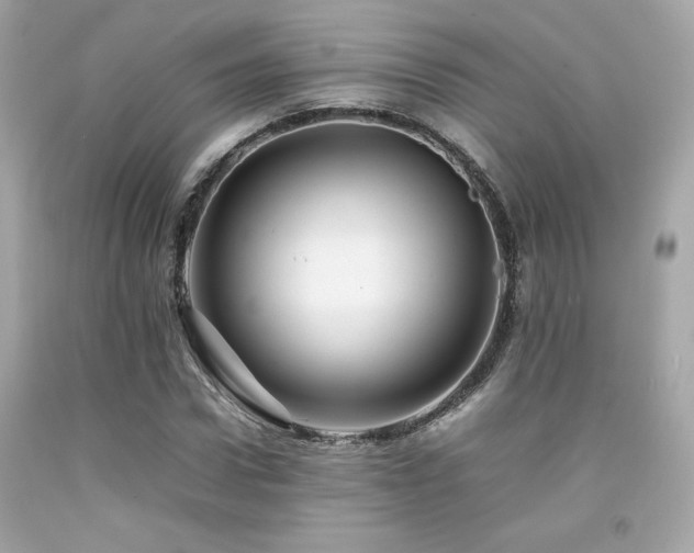 X0000092060922200709121351
