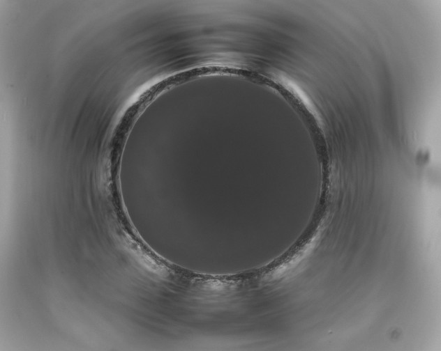 X0000092060923200709121351