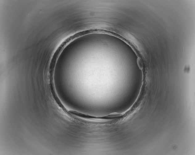 X0000092060924200709121351