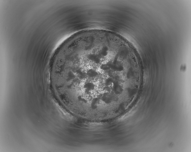 X0000092060925200709121351