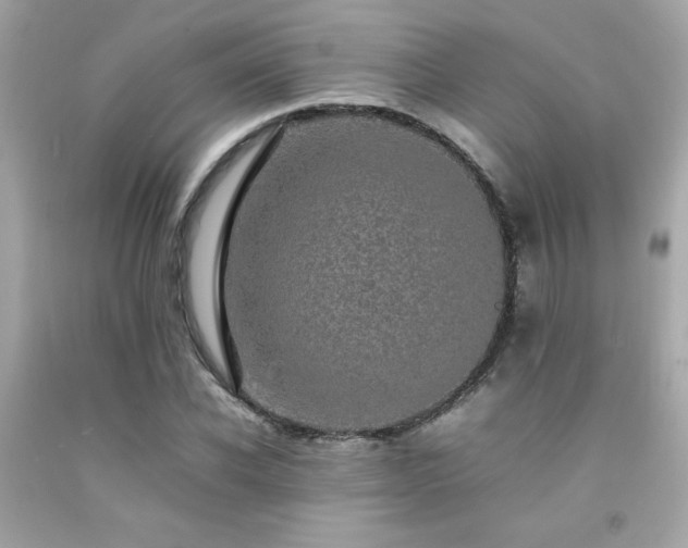 X0000092060926200709121351