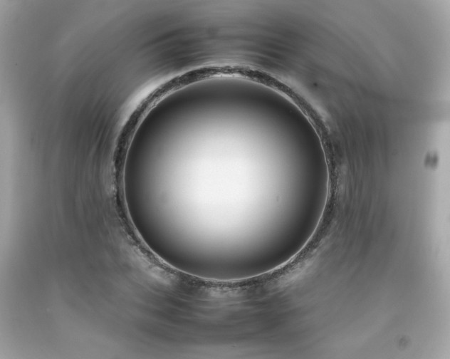 X0000092060927200709121351