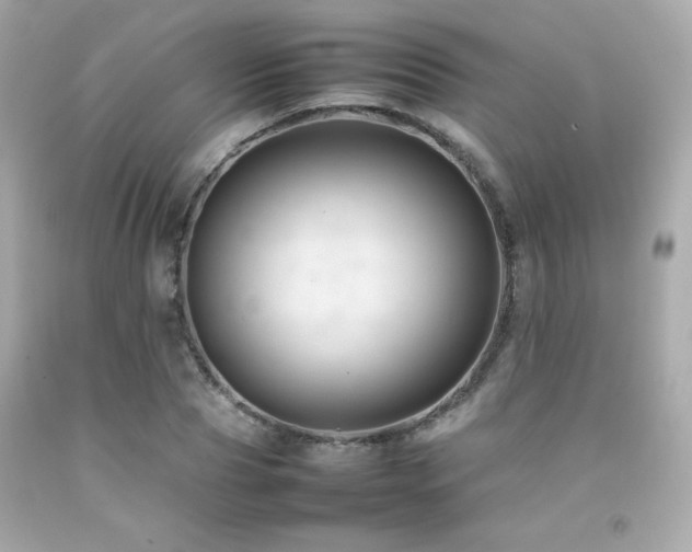 X0000092060929200709121351