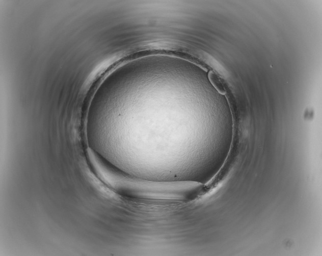 X0000092060930200709121351