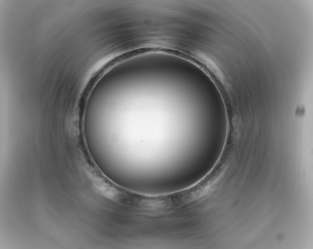X0000092060931200709121351