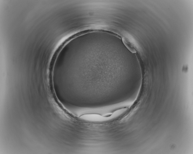 X0000092060932200709121351
