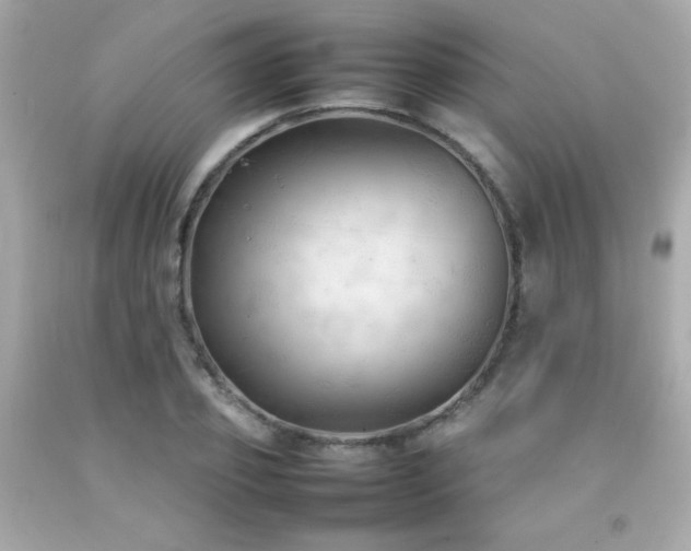 X0000092060933200709121351