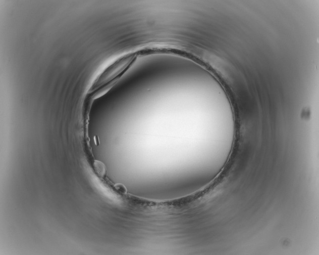 X0000092060934200709121351