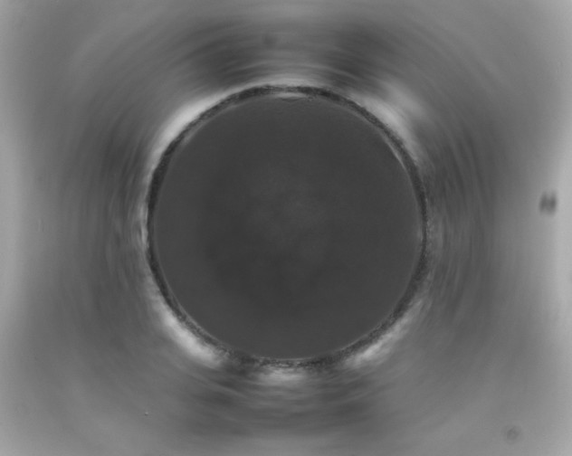 X0000092060935200709121351