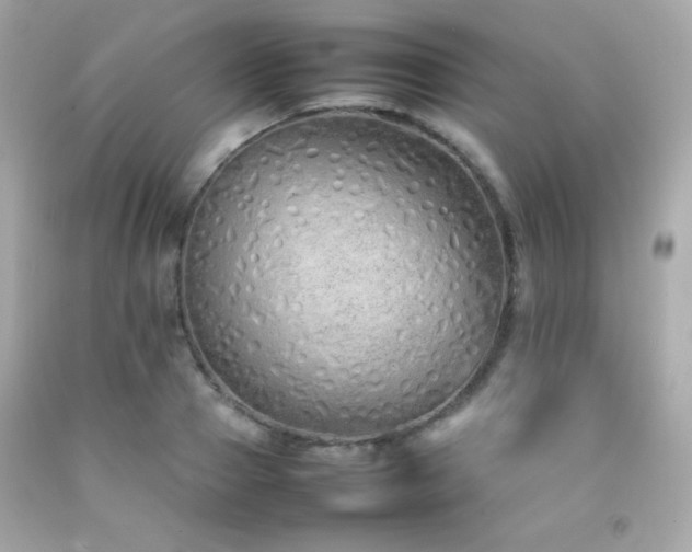 X0000092060937200709121351