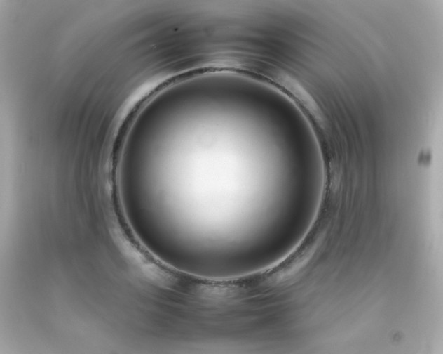 X0000092060939200709121351