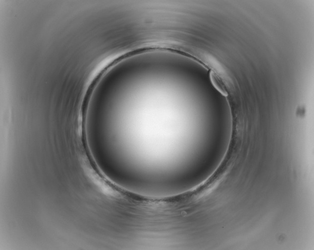 X0000092060940200709121351