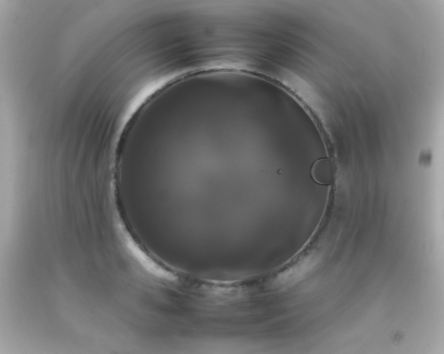 X0000092060941200709121351